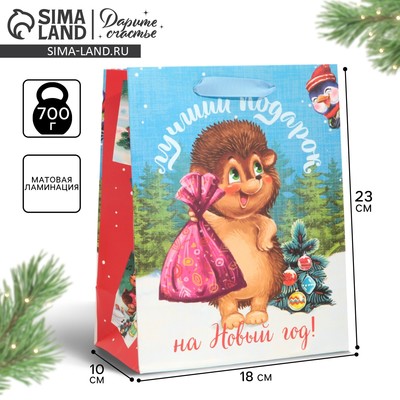 Пакет подарочный новогодний ламинированный «Лучший подарок», MS 18 х 23 х 10 см