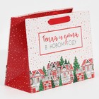 Пакет ламинированный горизонтальный «Снежок», MS 23 х 18 х 10 см, Новый год - фото 21654560