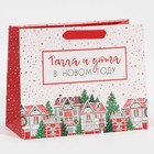 Пакет ламинированный горизонтальный «Снежок», MS 23 х 18 х 10 см, Новый год - фото 21654561