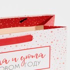 Пакет ламинированный горизонтальный «Снежок», MS 23 х 18 х 10 см, Новый год - фото 21654563