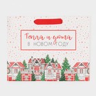 Пакет ламинированный горизонтальный «Снежок», MS 23 х 18 х 10 см, Новый год - фото 21654564