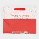 Пакет ламинированный горизонтальный «Снежок», MS 23 х 18 х 10 см, Новый год - фото 21654565