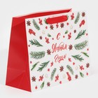 Пакет ламинированный горизонтальный «Наш веселый Новый Год», MS 18 × 23 × 10 см - фото 21654567