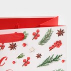 Пакет ламинированный горизонтальный «Наш веселый Новый Год», MS 18 × 23 × 10 см - фото 21654570