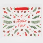 Пакет ламинированный горизонтальный «Наш веселый Новый Год», MS 18 × 23 × 10 см - фото 21654571