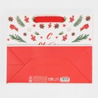 Пакет ламинированный горизонтальный «Наш веселый Новый Год», MS 18 × 23 × 10 см - фото 21654572