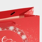 Пакет ламинированный горизонтальный «Новогоднее вдохновение», MS 18 × 23 × 10 см - Фото 5