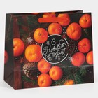 Пакет ламинированный горизонтальный «Со вкусом Нового Года», MS 18 × 23 × 10 см - Фото 3