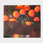 Пакет ламинированный горизонтальный «Со вкусом Нового Года», MS 18 × 23 × 10 см - Фото 7