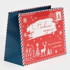 Пакет ламинированный горизонтальный «От Деда Мороза», MS 18 × 23 × 10 см - фото 10305914