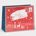 Пакет ламинированный горизонтальный «От Деда Мороза», MS 18 × 23 × 10 см - фото 10305915