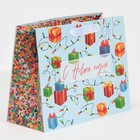 Пакет подарочный новогодний ламинированный «Сюрприз внутри», MS 18 х 23 х 10 см, Новый год (комплект 2 шт) - фото 21654603