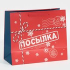 Пакет подарочный новогодний ламинированный «Посылка для тебя», MS 18 х 23 х 10 см, Новый год - фото 21654610