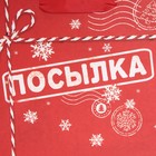 Пакет подарочный новогодний ламинированный «Посылка для тебя», MS 18 х 23 х 10 см, Новый год - фото 21654611