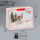Пакет ламинированный горизонтальный «Новогодняя открытка», MS 18 × 23 × 10 см - Фото 1