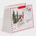 Пакет ламинированный горизонтальный «Новогодняя открытка», MS 18 × 23 × 10 см - Фото 2