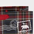 Пакет ламинированный горизонтальный «Навеяно зимой», MS 18 х 23 х 10 см, Новый год - фото 21654633