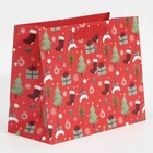 Пакет ламинированный горизонтальный «Магия зимы», MS 18 х 23 х 10 см, Новый год - фото 21654658