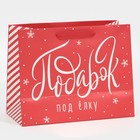 Пакет ламинированный горизонтальный «Лучший подарок», MS 18 х 23 х 10 см, Новый год - фото 21654666