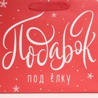 Пакет ламинированный горизонтальный «Лучший подарок», MS 18 х 23 х 10 см, Новый год - фото 21654667