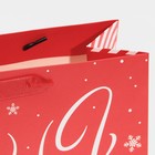 Пакет ламинированный горизонтальный «Лучший подарок», MS 18 х 23 х 10 см, Новый год - фото 21654668