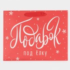 Пакет ламинированный горизонтальный «Лучший подарок», MS 18 х 23 х 10 см, Новый год - фото 21654669