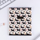 Тетрадь в клетку, 48 л., А5, на скрепке, блок №1 «Волшебство» МИКС - Фото 8