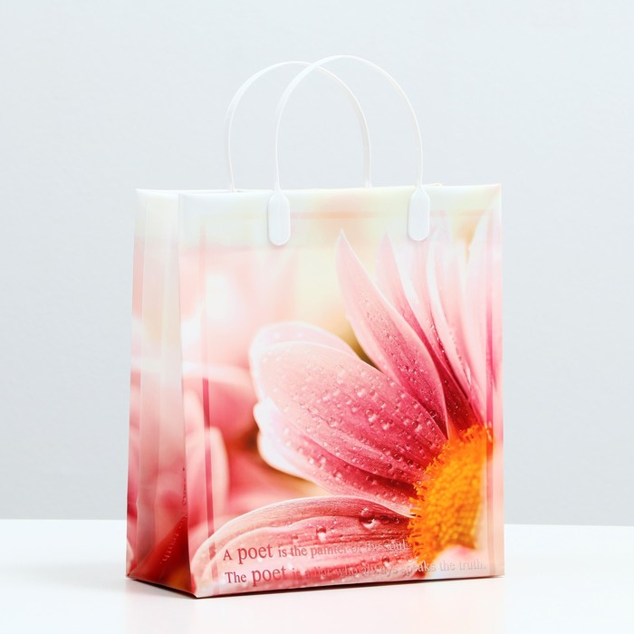 Пакет "Хризантема", мягкий пластик, 26 x 23 см, 100 мкм - Фото 1