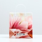 Пакет "Хризантема", мягкий пластик, 26 x 23 см, 100 мкм - Фото 2