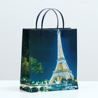 Пакет "Ночь в Париже", мягкий пластик, 26 x 23 см, 100 мкм - фото 301493036