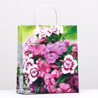 Пакет "Садовые цветы", мягкий пластик, 26 x 23 см, 110 мкм - фото 301493050