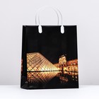 Пакет "Вечерний Лувр", мягкий пластик, 26 x 23 см, 110 мкм - фото 320681357