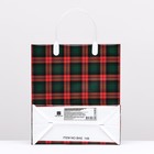 Пакет "Красно-зеленая клетка", мягкий пластик, 26 x 23 см, 110 мкм (комплект 10 шт) - фото 24119275