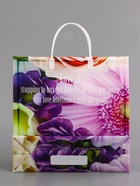 Пакет «Хризантемы», мягкий пластик, 29×30 см, 100 мкм - Фото 3