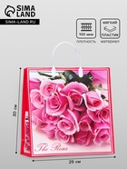 Пакет «Розовые розы», мягкий пластик, 29×30 см, 100 мкм - Фото 1