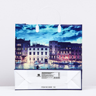 Пакет "Вечер в Венеции", мягкий пластик, 30 x 30 см, 100 мкм - Фото 2
