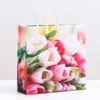 Пакет «Нежные тюльпаны», мягкий пластик, 30×30 см, 120 мкм - Фото 1