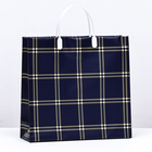 Пакет «Синяя клетка», мягкий пластик, 29×30 см, 100 мкм - Фото 1