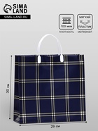 Пакет «Синяя клетка», мягкий пластик, 29×30 см, 100 мкм - Фото 1