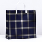 Пакет «Синяя клетка», мягкий пластик, 29×30 см, 100 мкм - Фото 2