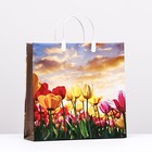 Пакет "Закат над тюльпанами", мягкий пластик, 30 x 30 см, 120 мкм - фото 320681391