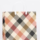 Пакет «Бежевый в клетку», мягкий пластик, 30×30 см, 120 мкм - Фото 2