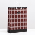 Пакет, «Клетка», мягкий пластик, 42×32 см, 120 мкм - Фото 2