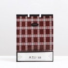 Пакет, «Клетка», мягкий пластик, 42×32 см, 120 мкм - Фото 3