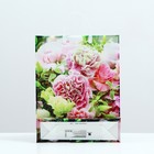 Пакет «Хлоя», мягкий пластик, 40×32 см, 120 мкм 9079610