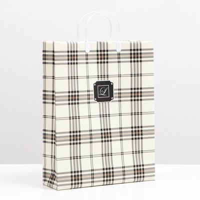 Пакет «Глория», мягкий пластик, 42×32 см, 120 мкм