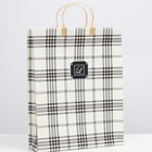 Пакет «Глория», мягкий пластик, 42×32 см, 120 мкм - Фото 2