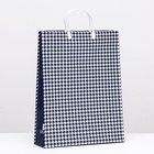 Пакет «Синяя клетка», мягкий пластик, 41×32 см, 120 мкм - Фото 1