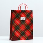 Пакет "Шотландия", мягкий пластик, 40 x 32 см, 120 мкм - фото 321143469