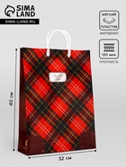 Пакет «Шотландия», мягкий пластик, 40×32 см, 120 мкм - Фото 1